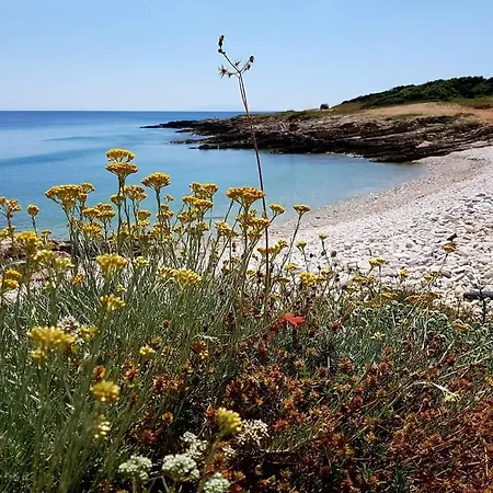 Tatil Evi Aurora