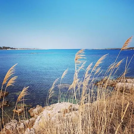 Aurora Tatil Evi *
